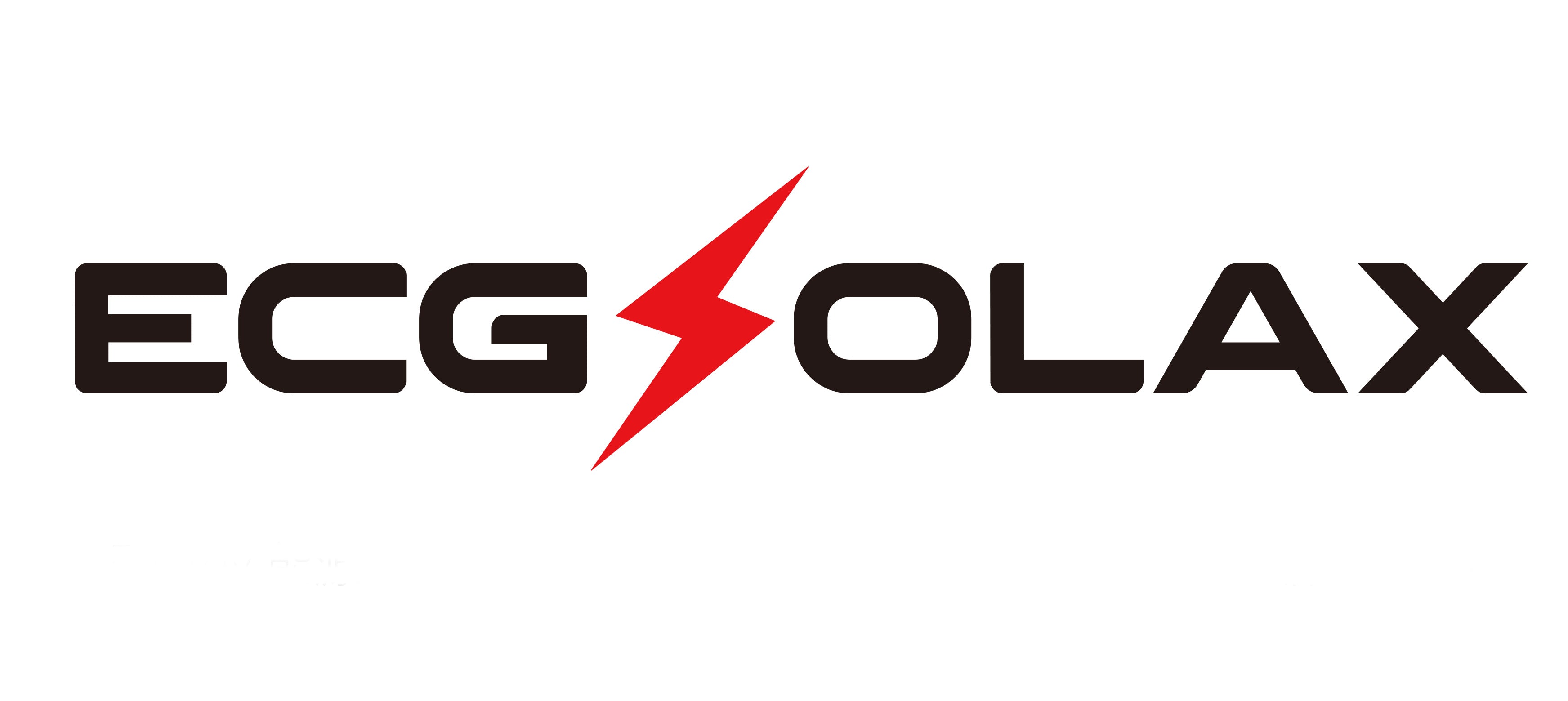 ECG SOLAX logo